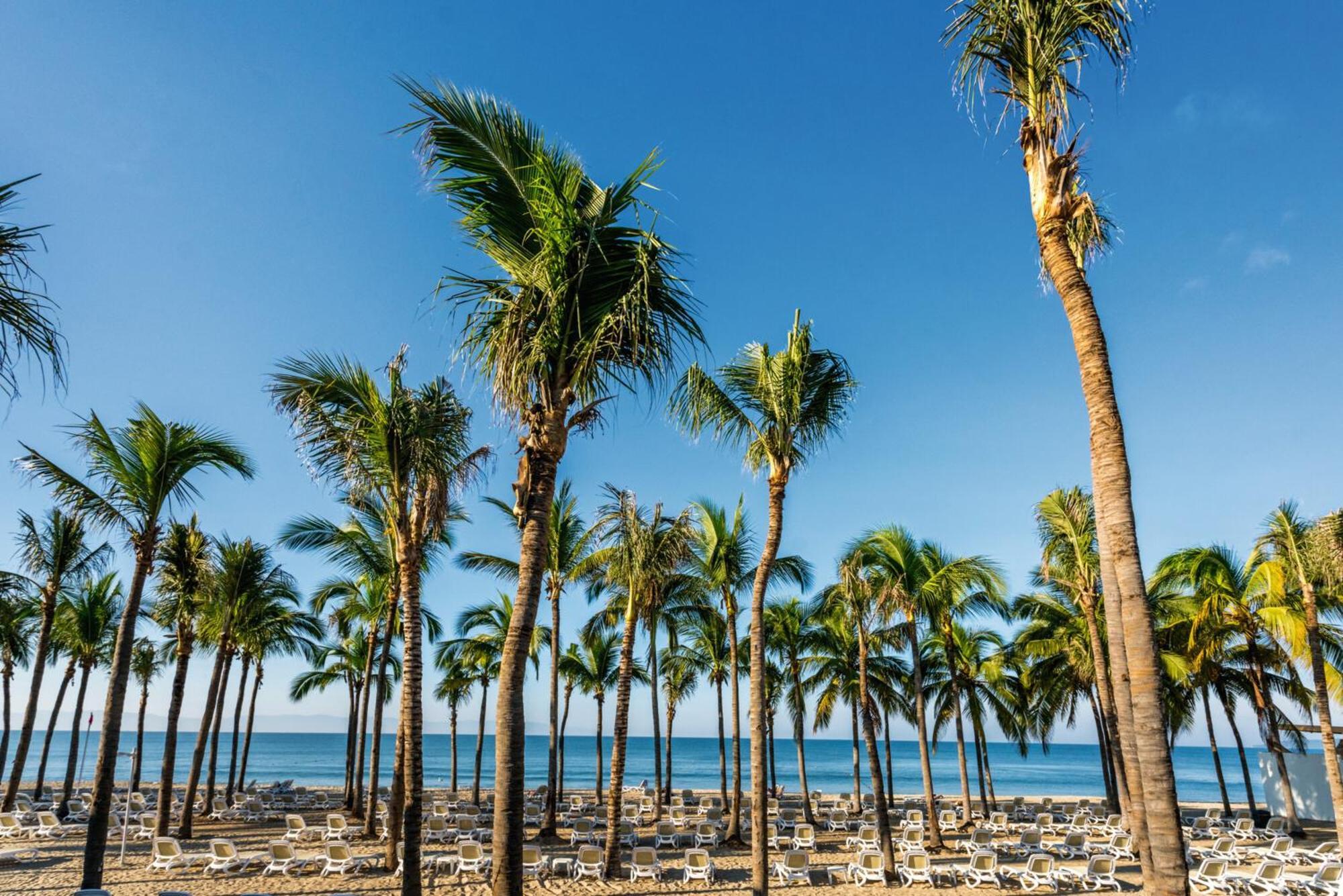 Riu Vallarta Nuevo Vallarta Εξωτερικό φωτογραφία